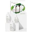 Paul Mitchell Tea Tree Scalp Care Anti-Thinning Regimen Kit
