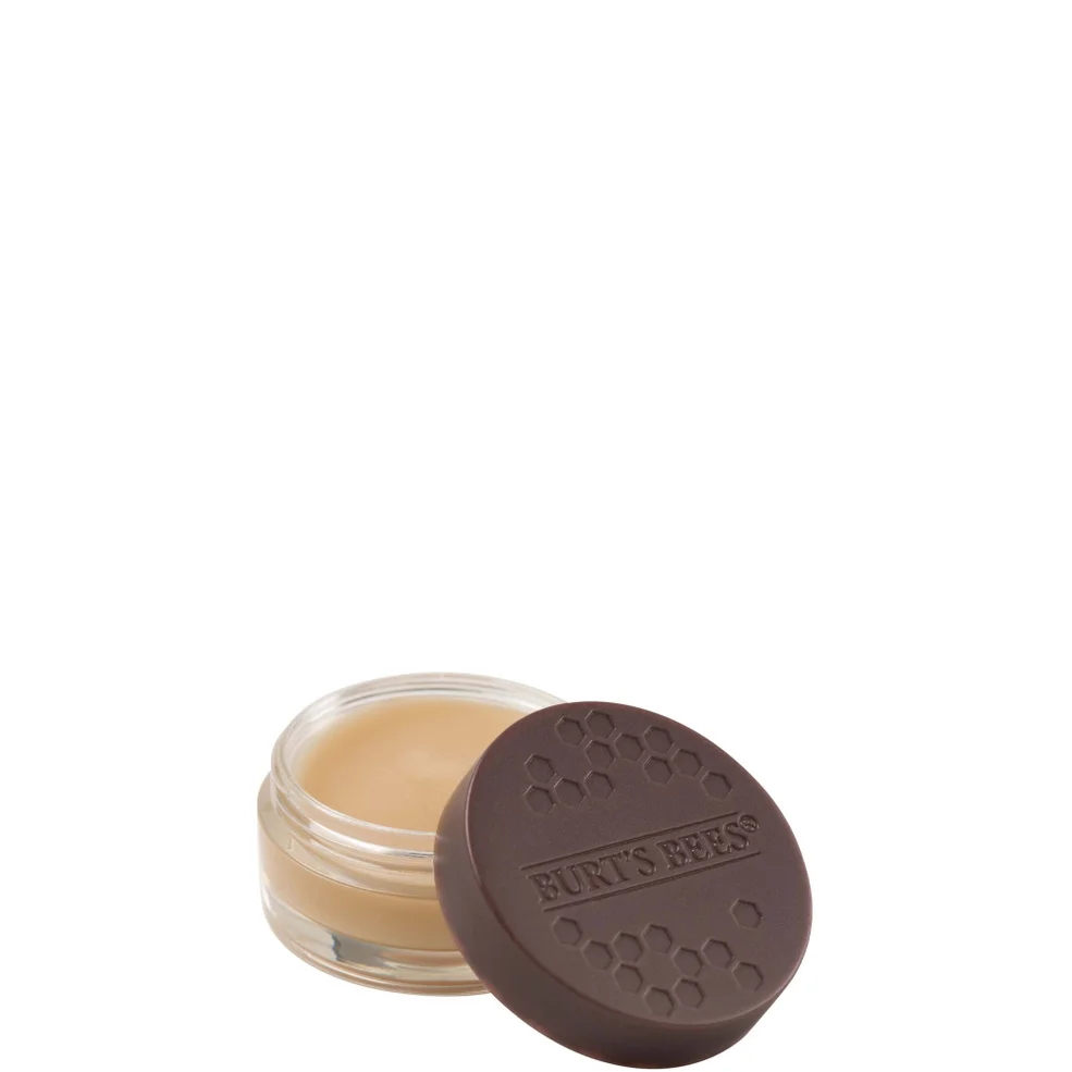 Burt's Bees 100% Natural Overnight Intensive Lip Treatment Image 1