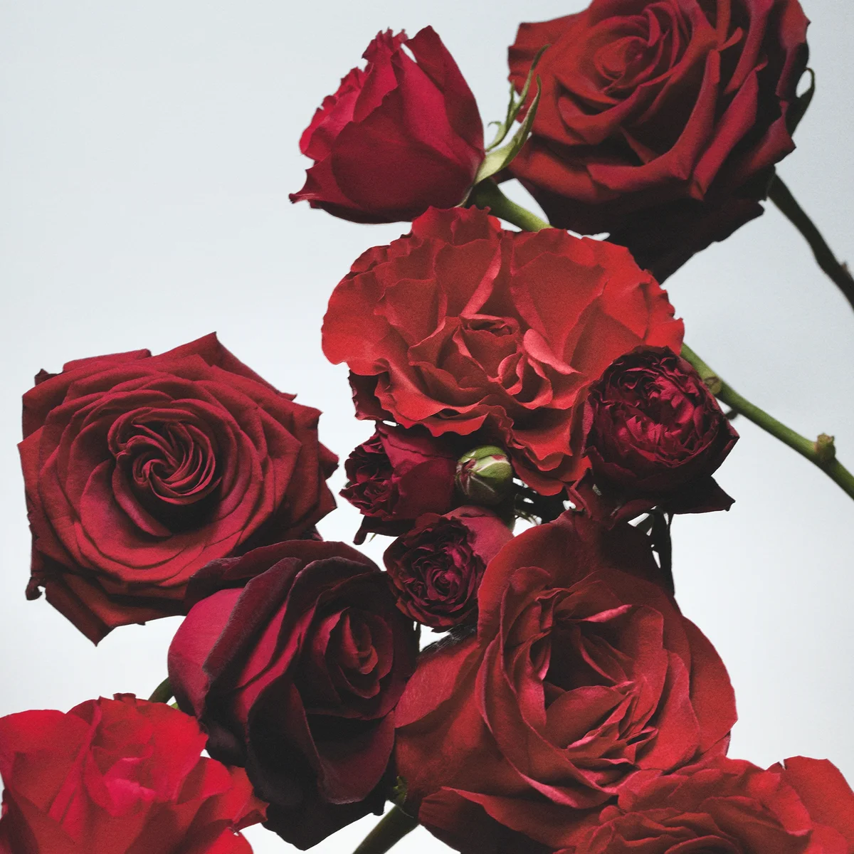 Jo Malone London Red Roses Scent Surround Diffuser 165ml