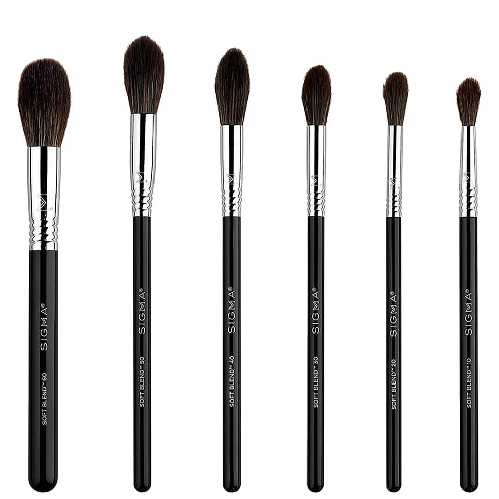 Sigma Beauty Soft Blend Brush Set Image 1