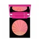 Diego Dalla Palma Turn on The Blush Compact Powder - Pink Rainbow 7.1g