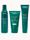 Aveda Botanical Repair Strengthening Shampoo & Conditioner with Leave-In Treatment Routine Bundle