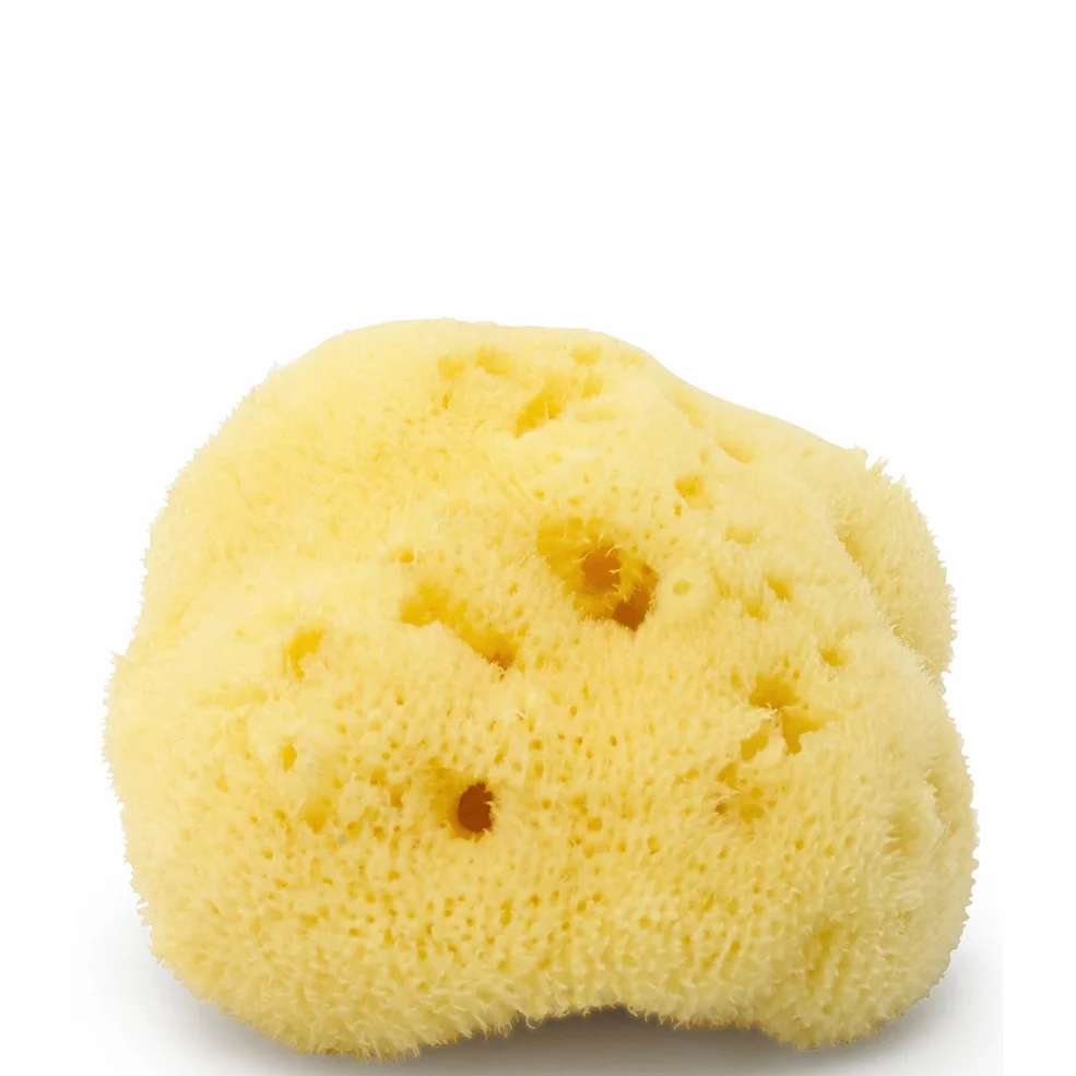 ARgENTUM la lune sur l'eau Silk Sea Face Sponge Image 1