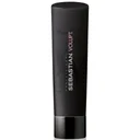 Sebastian Professional Volupt Volumising Shampoo for Hair Volume 250ml