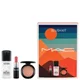 MAC Blush Kit