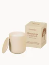 Osmology by Aery Fernweh Candle 280g - Himalayan Cedarleaf