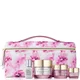 Estée Lauder Lift and Glow Day To Night Gift Set (Worth £142.80)