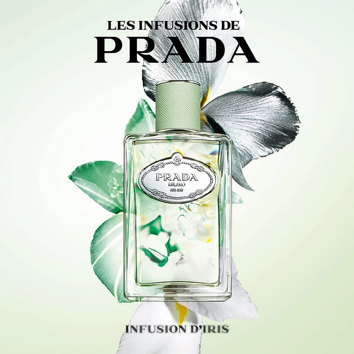 Original French Brochure La Dyna Panhard Dépliant Couleur Poster Original French Brochure La Dyna Panhard Dépliant Couleur Poster