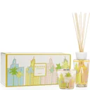 Baobab Collection My First Baobab Gift Box - Miami