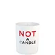 Juliette Has a Gun Not A Perfume Candle 180g
