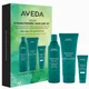 Aveda Botanical Repair Black Friday Set