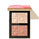 Bobbi Brown Blush and Highlight Duo - WN Honey Glow 6.6g