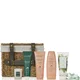 Liz Earle All is Radiant Top-to-Toe Routine Set (Worth £98.50)