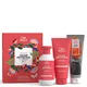 Wella Professionals Care Colour Protection Copper Set (Worth £48.75)