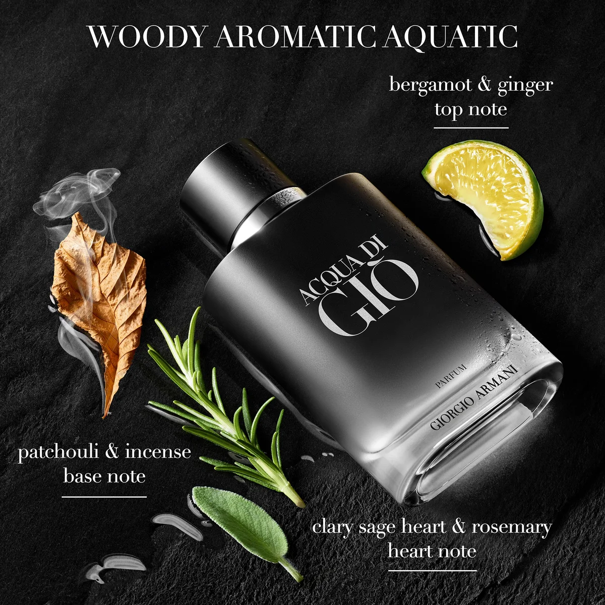 Armani Acqua Di Giò Parfum 100ml LOOKFANTASTIC