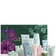 Liz Earle 12 Days of Liz Earle Advent Calendar (Worth £178)