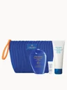 Shiseido Sun Protection On The Go