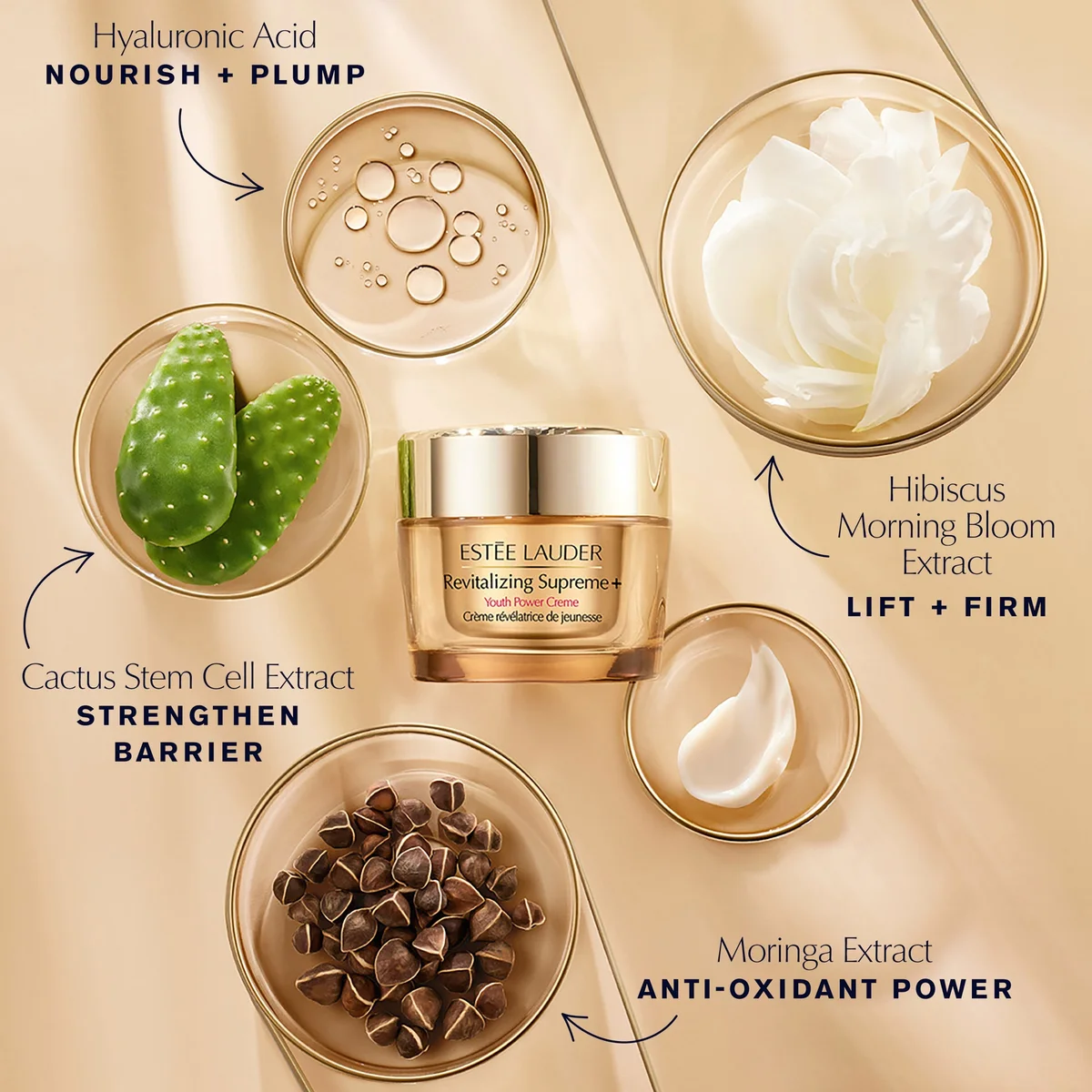 EXCLUSIVE Estée Lauder Advanced Night Repair Supreme LOOKFANTASTIC
