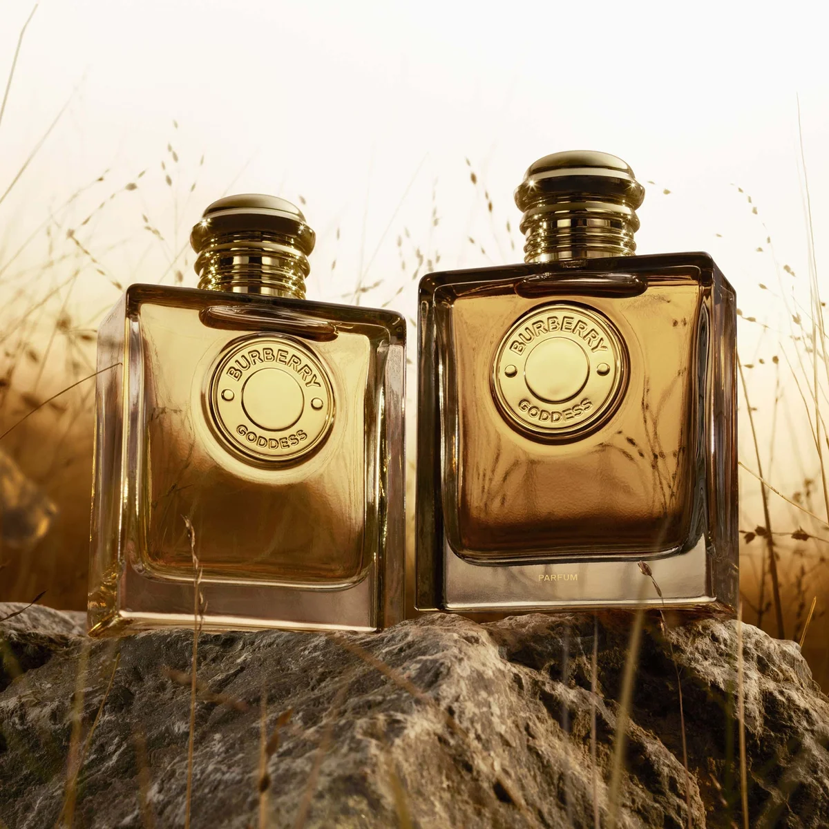 Prathima Hospitals Moschino Fresh Gold 50ml Burberry Goddess