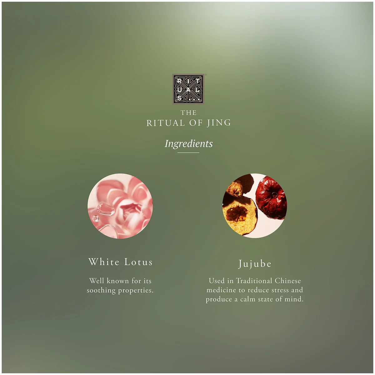 Rituals The Ritual Of Jing Scented Candle - geurkaars 290 gram • de Rituals The Ritual Of Jing Scented Candle - geurkaars 290 gram • de