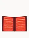 FOREO FAQ Dual LED Panel