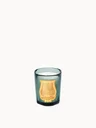 TRUDON Figuerie Candle 70g