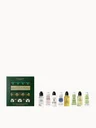 L'Occitane Festive Crackers Collection (Worth £37)