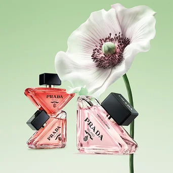 PRADA PARADOXE