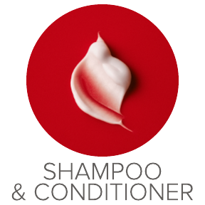 Olaplex Shampoo and Conditioner
